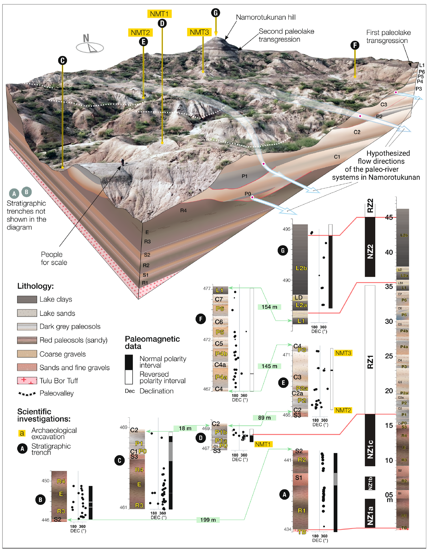 나모로투쿠난의 도구 제작자들은 신체적 적응 대신 문화적·기술적 혁신을 통해 변화하는 환경에서 번성했다. © Braun et al. 2025
