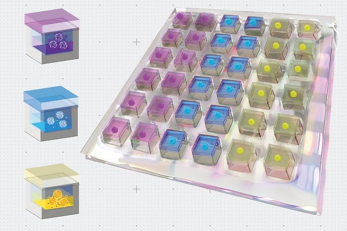 시간조절형 미세입자 약물전달 시스템(TIMED) 그래픽 ⓒ MIT 제공