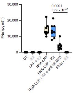 코로나19 mRNA 백신을 맞은 마우스 혈액에서 인터페론 알파(IFNα)가 급증하였다. Ⓒ Nature