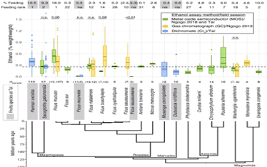 키발레 국립공원과 타이 국립공원에서 채취한 과일의 평균 에탄올 농도. ⒸScience Advances