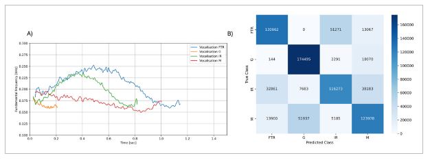 사자 포효의 네 가지 발성 유형별 주파수 패턴(A)과 분류 정확도(B). 완전 포효가 가장 높은 주파수를 보이며, 중간 포효는 그보다 낮은 패턴을 나타낸다. 연구팀은 84.7%의 정확도로 네 가지 발성을 구분했다. ⒸEcology and Evolution