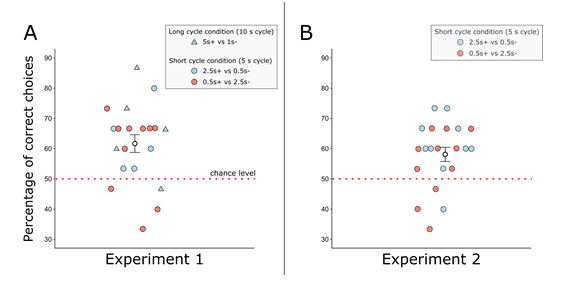 서양뒤영벌의 시간 간격 구별 학습 성과. (A) 실험 1에서 20마리 중 16마리가 50% 이상의 정확도로 다른 지속시간 자극을 구별했다. (B) 실험 2에서는 총 빛의 양을 동일하게 설정했음에도 21마리 중 17마리가 깜빡이는 패턴 차이를 구별해 벌들이 지속시간 자체를 인식함을 확인했다. ⒸBiology Letters