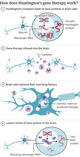 2025년을 빛낸 과학 뉴스 10선
