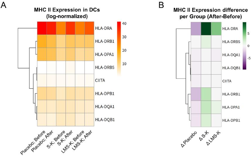 김치 분말을 섭취한 사람들(S-K, LMS-K)에게서는 항원제시세포의 기능이 강화된 것으로 나타났다. Ⓒ NPJ Sci Food