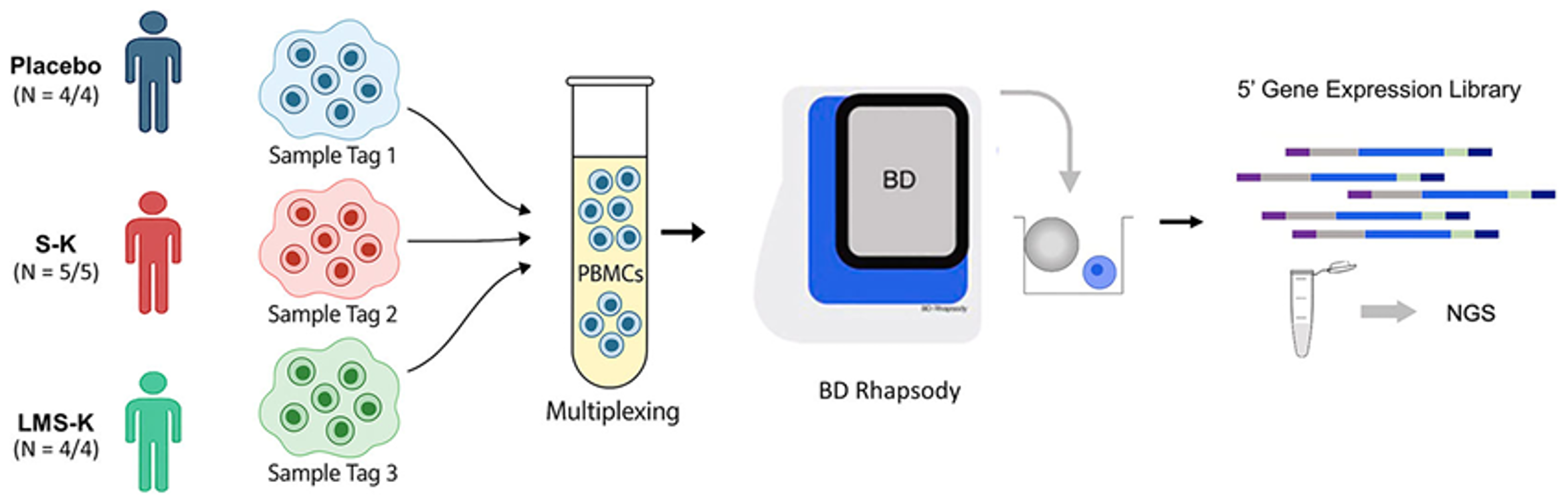 김치 분말을 섭취한 참가자들의 혈액 내 면역세포에 대하여 단일세포 전사체 분석을 진행하였다. Ⓒ NPJ Sci Food