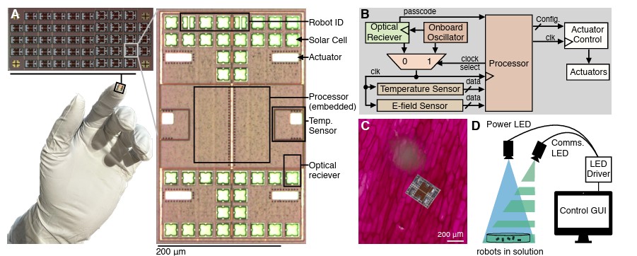 반도체 칩 위에 센서·프로세서·액추에이터·태양광 전원·광학 수신부를 통합한 마이크로 로봇의 구성과, LED 광 신호로 명령을 주고받는 실험 개념도. ⒸScience 