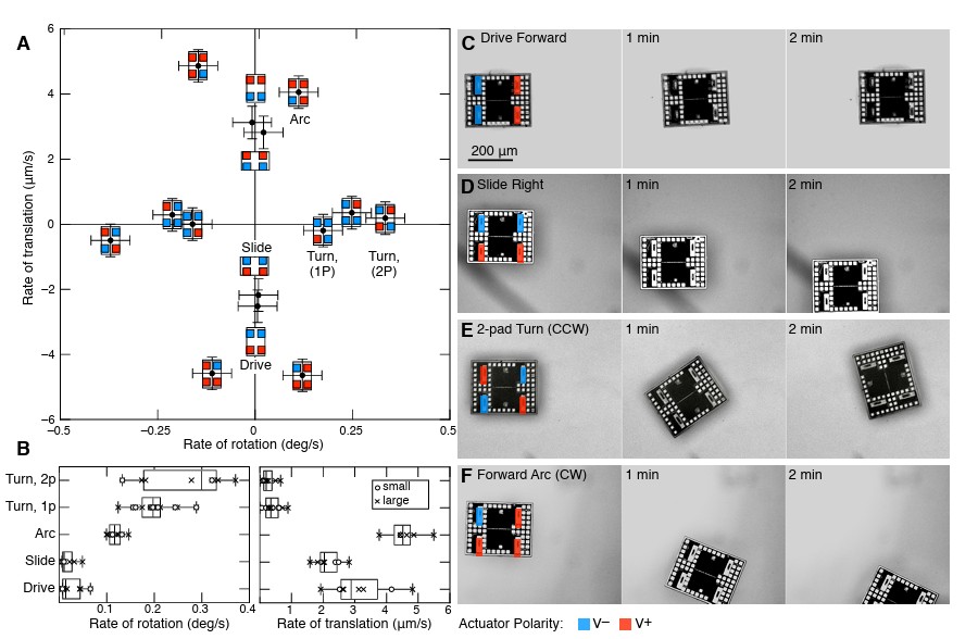 전기화학 액추에이터의 극성(을 바꿔 마이크로 로봇의 움직임을 ‘전진(Drive)·슬라이드(Slide)·회전(Turn)·호 이동(Arc)’ 등으로 제어하는 시연. ⒸScience 