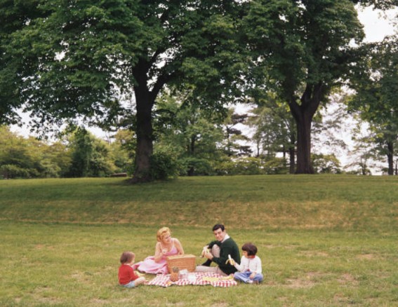 아이들이 걷거나 뛰기 시작하면 앉아서 식사하는 것보다 놀고 움직이는 것을 선호한다. ⓒ Getty Images