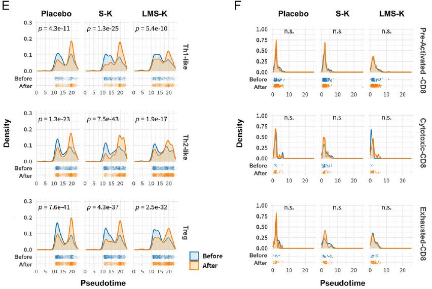 김치 섭취군(S-K, LMS-K)의 CD4 T세포는 공격세포와 억제세포로 동시에 분화하는 균형 잡힌 변화가 관찰되었다. Ⓒ NPJ Sci Food