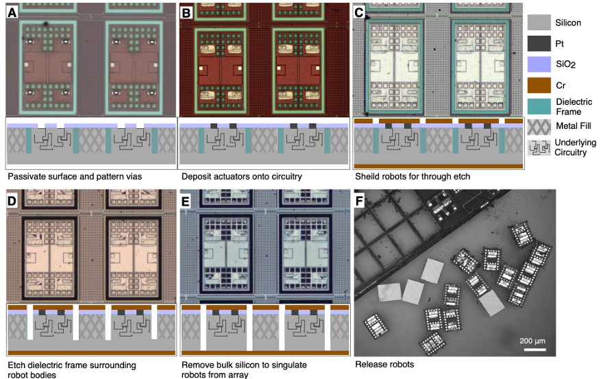 마이크로 로봇 제작 공정 개요. ⒸScience 