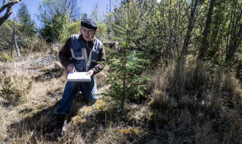 일부 전문가들은 수분, 수질 정화, 토양 형성, 기후 조절, 홍수 방지, 해안 보호, 병해충 조절 등 생태계 서비스의 경제적 가치가 연간 수십조 달러에 달한다고 추정한다. © Getty Images
