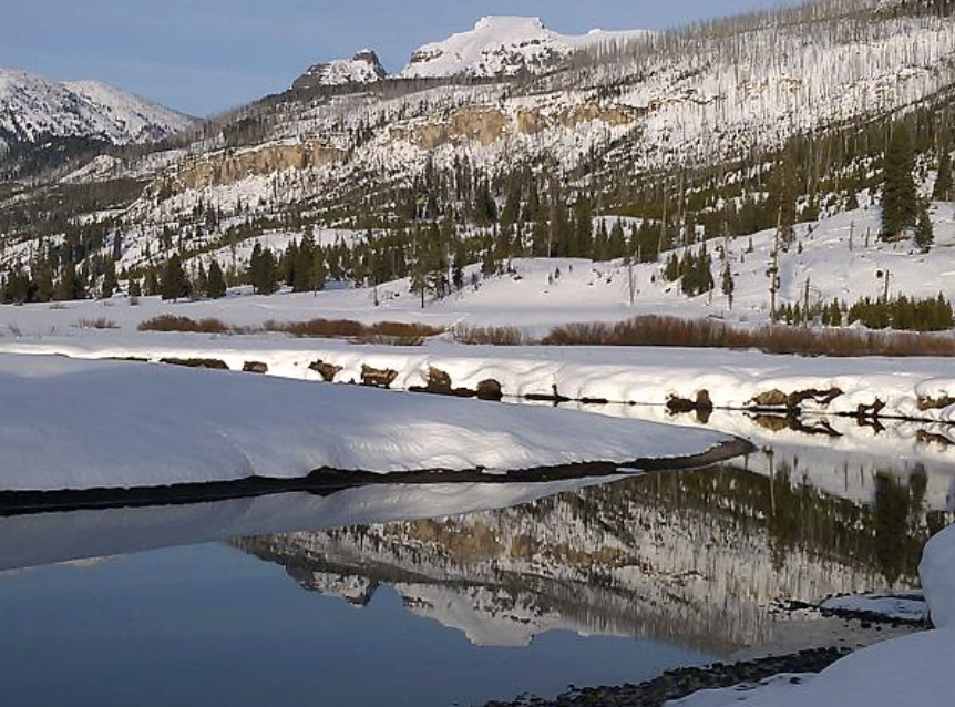 다치의 말은 자연 보호와 경제적 이익이 반드시 상충하는 게 아니라는 사실을 보여주는데, 오히려 제대로 된 방식으로 접근하면 둘 다 얻을 수 있다는 증거가 될 수 있다. ©Getty Images
