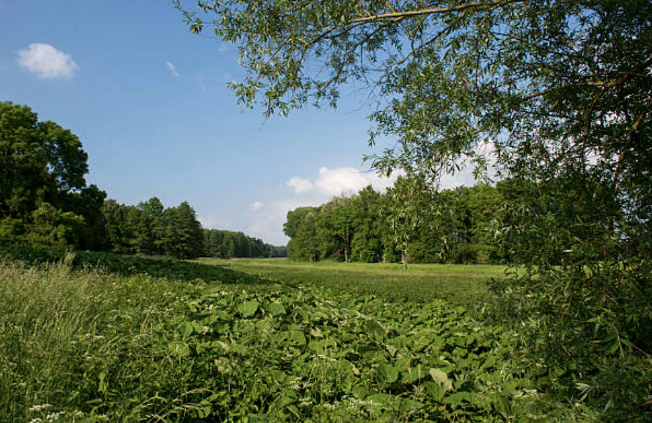 자연 보호하지 않으면 기업도 멸종한다
