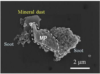 많은 미세플라스틱이 먼지, 그을음과 엉킨 복합체 형태를 하고 있었다. Ⓒ Sci Adv