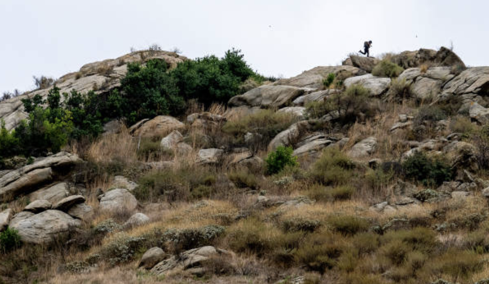 생물다양성 위기는 기후위기만큼 긴급하지만 상대적으로 덜 주목받아왔다. © Getty Images