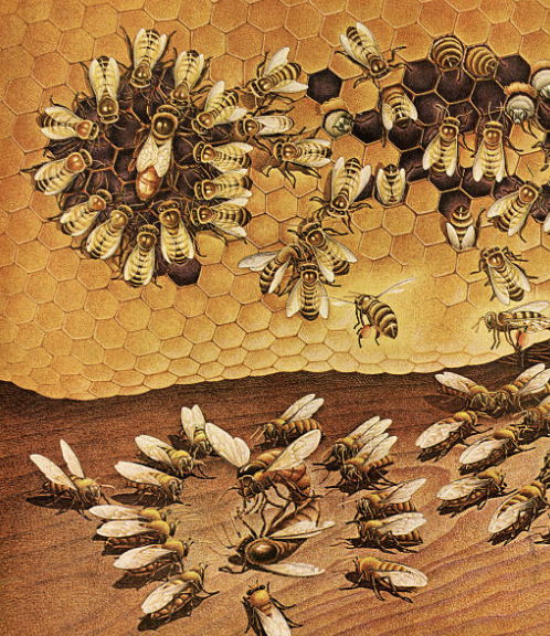 억압이 항상 효과적인 것은 아니다. © Getty Images