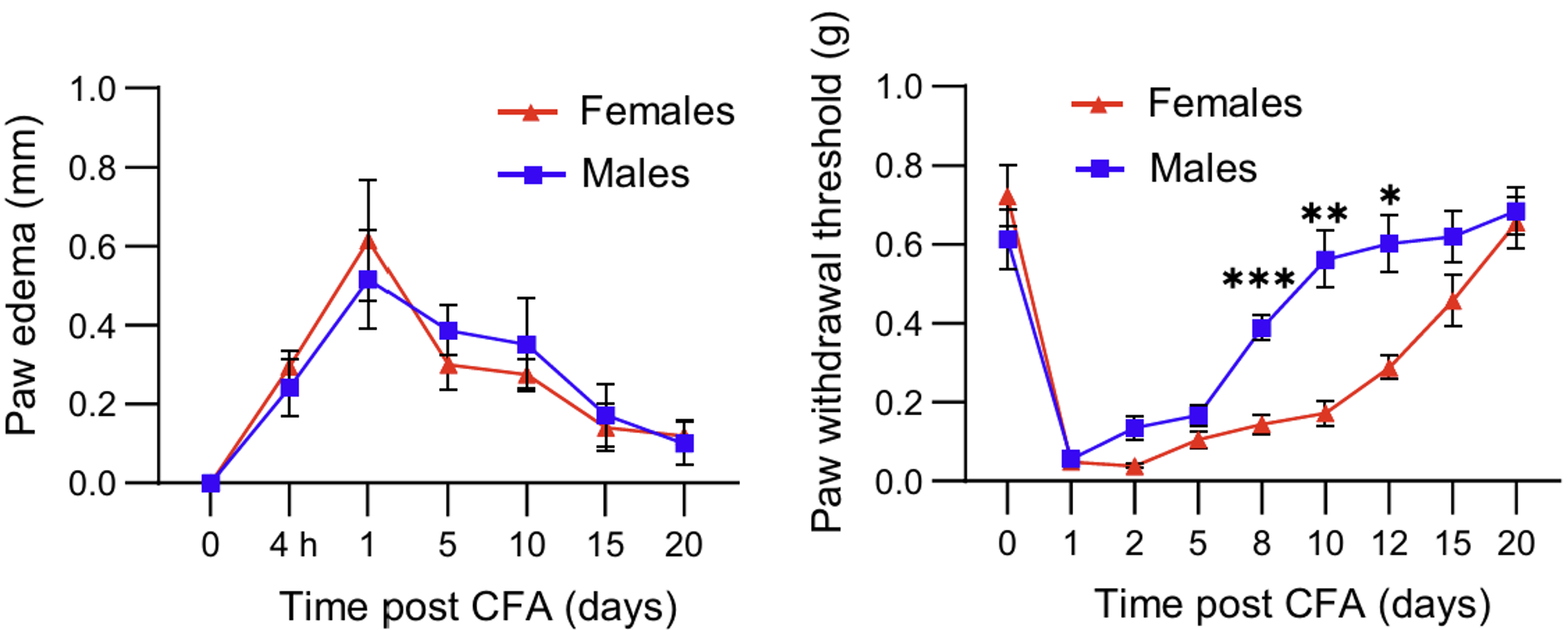 마우스 실험에서 성별에 따른 염증 정도는 차이가 없었음에도 수컷 마우스에서 통증 회복 속도가 더 빨랐다. ⒸSci Immunol