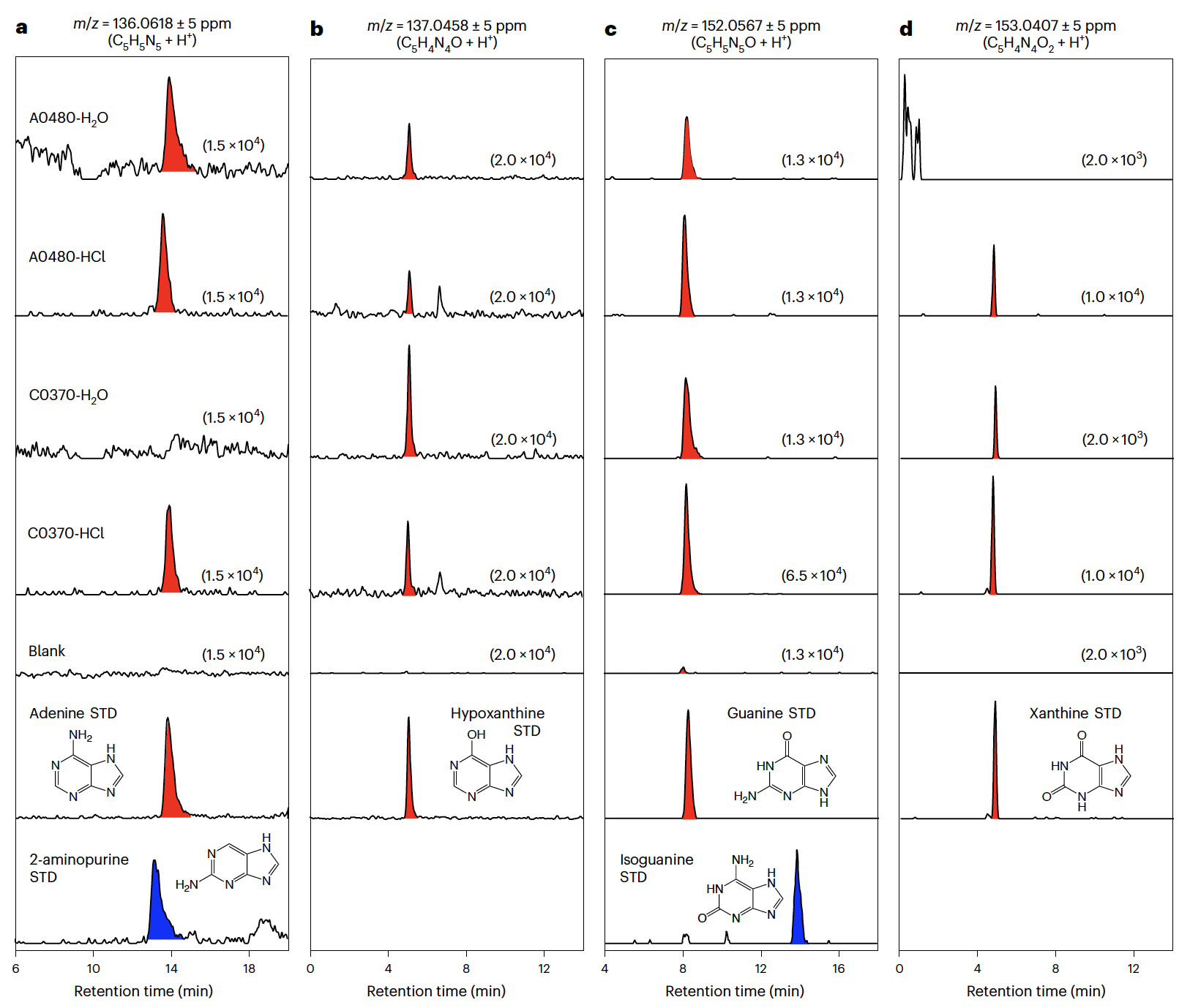 HPLC/ESI-HRMS 분석을 통해 RyuguA0480 및 C0370 시료의 H₂O 및 HCl 추출물에서 검출된 퓨린 염기 ©Koga et al. 2026