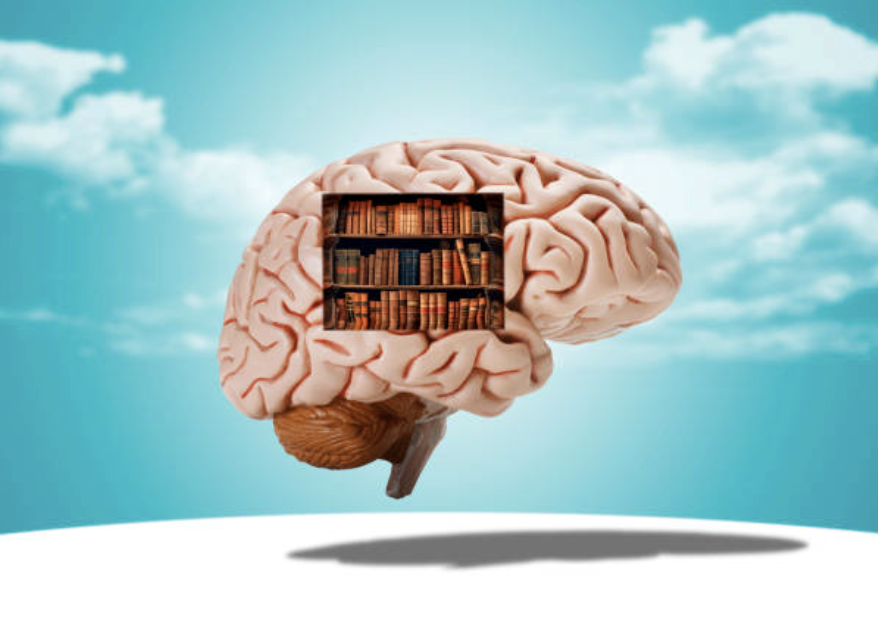 IQ 130이면 천재일까?