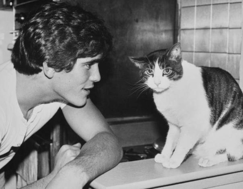 연구진은 고양이가 인간과 마찬가지로 종양이 '자연 발생(spontaneously)'한다는 점에 주목했다. ©Getty Images