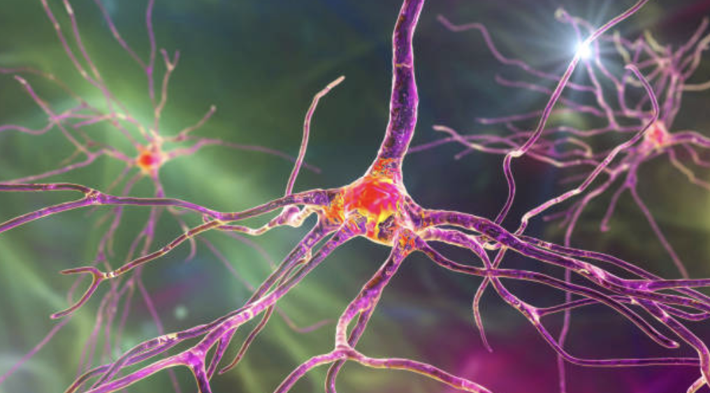 왜 어떤 경험은 추억이 되고, 어떤 것은 망각될까?