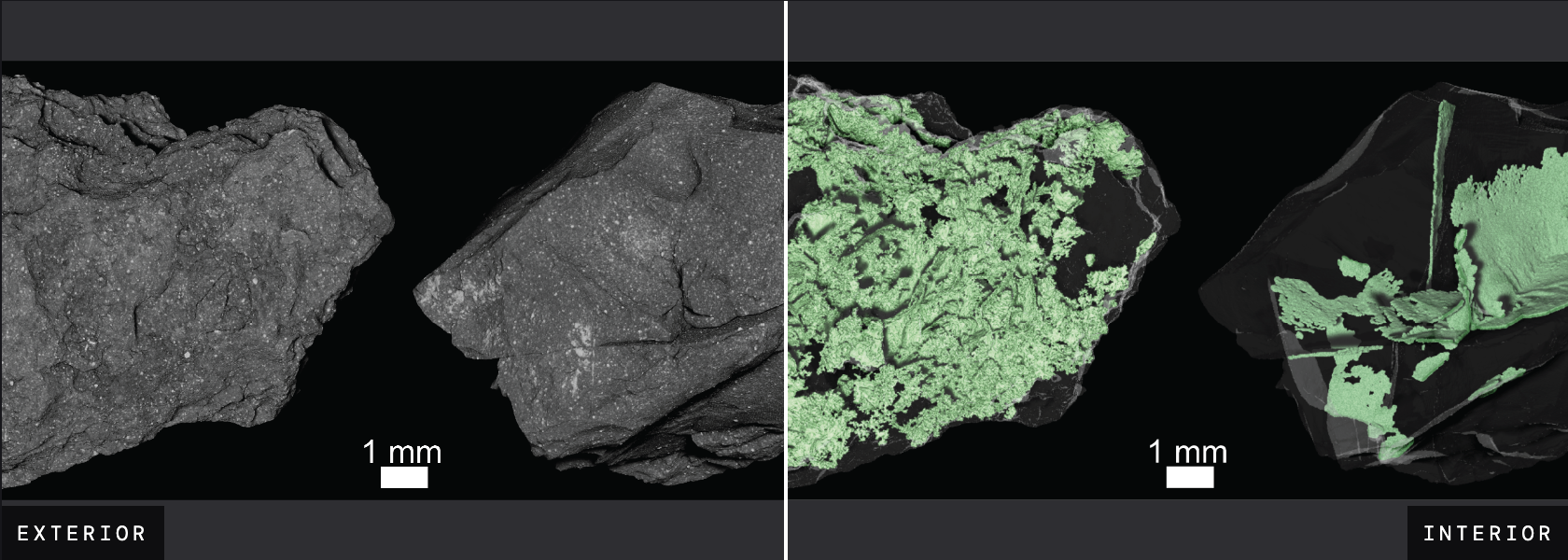 소행성 베누의 두 입자에 대한 X선 컴퓨터 단층촬영(XCT) 스캔 결과 © NASA
