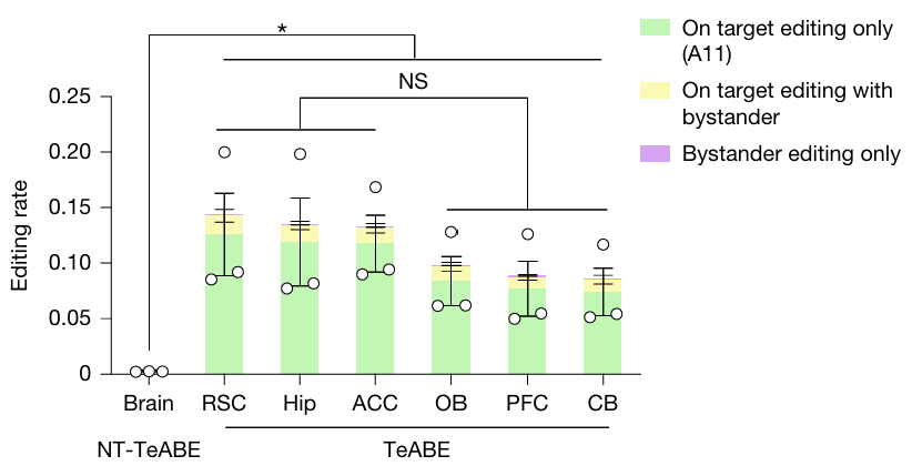 타겟 염기만 정확히 편집하는 비율은 10~15%에 불과했다. ⒸNature