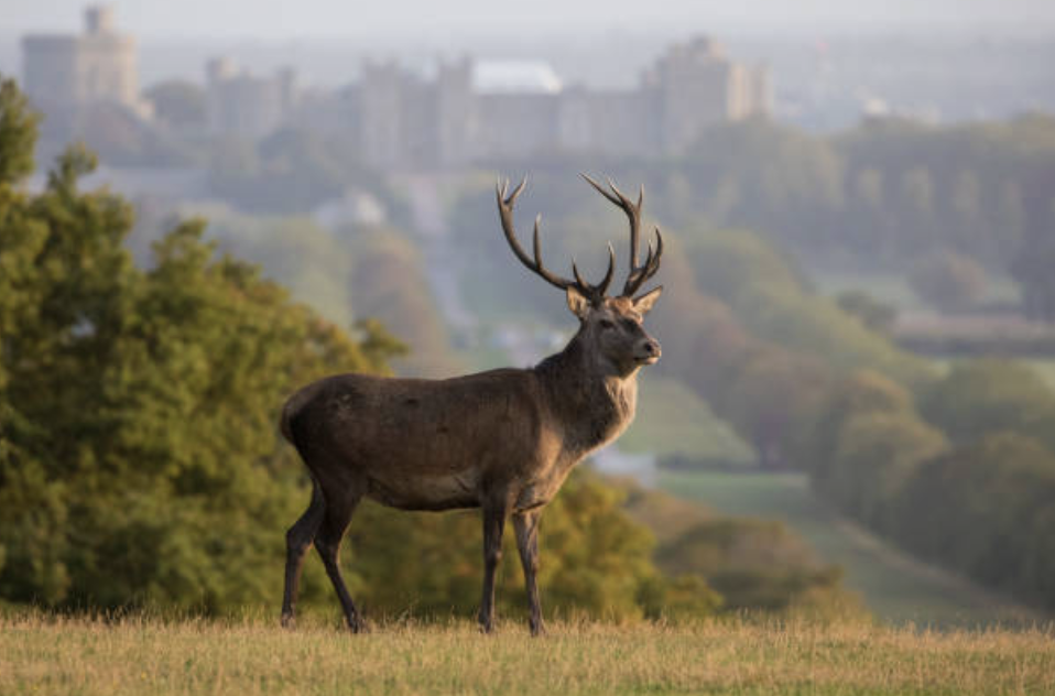 정부의 계획에 정면으로 맞서는 목소리도 있다. ©Getty Images