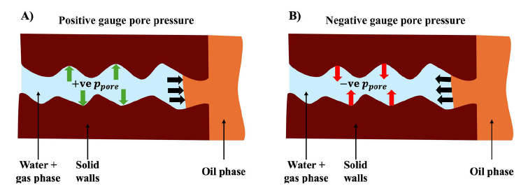 감자 내부의 증기압이 높을 때는 기름을 밀어내는 ‘방어막’ 역할을 하지만(A), 압력이 떨어지는 순간 발생하는 ‘심지 효과’는 기름을 내부로 끌어들이는 원인이 된다(B). ⒸFood Science