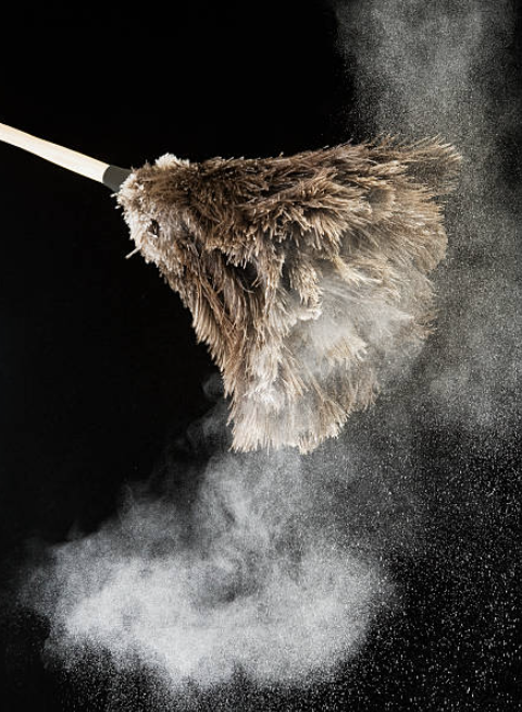 먼지가 스스로를 궁금해하고 있다니. ©Getty Images