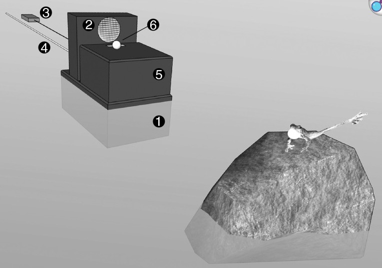 시민들이 모은 로우 데이터를 통해 얻은 가설을 검증하기 위해 제작된 실험 장치 구조도로, 이 연구는 행동생태학 및 사회생물학에 게재되었다. ⒸNIH