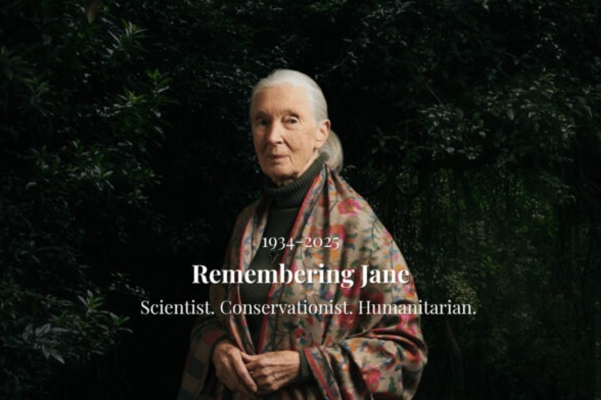 4월 15일에는 세계적 환경운동가이자 영장류 연구자 제인 구달(Jane Goodall) 박사의 삶과 업적을 기리는 행사가 열린다. ©edinburghfestivalcity.com