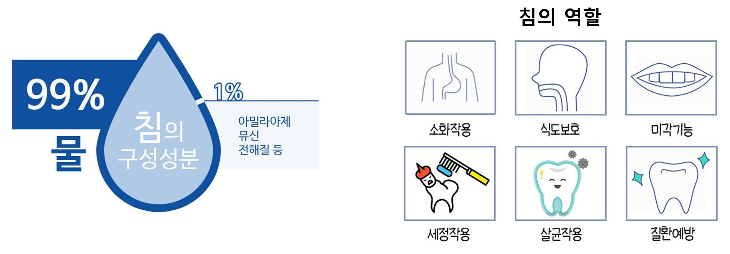 구강건조증, 침샘을 다시 작동시키는 줄기세포 치료