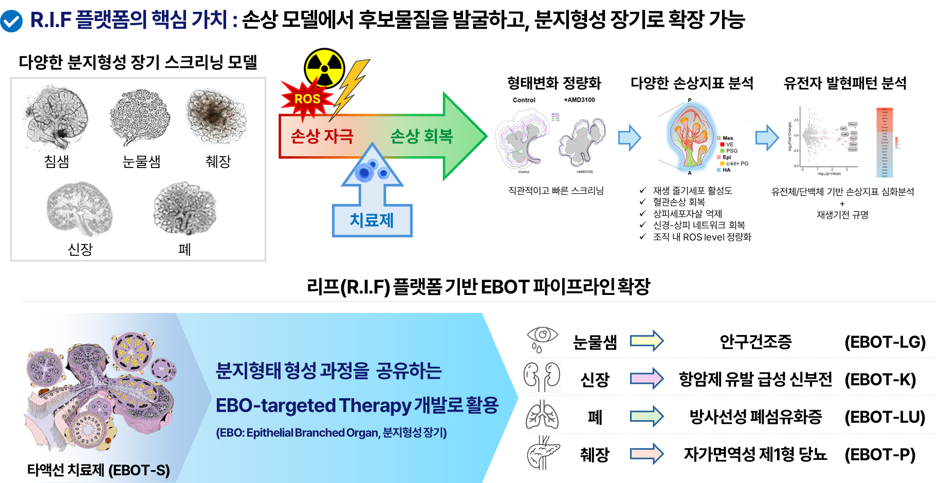 그림10. 다양한 장기 치료제로 개발할 수 있는 리프(R.I.F) 플랫폼 ⓒ고려대학교 안암병원