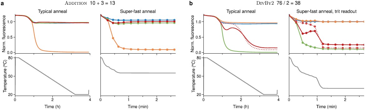 10+3, 76/2와 같은 간단한 계산들을 1분 이내에 수행할 수 있었다. ⒸNature