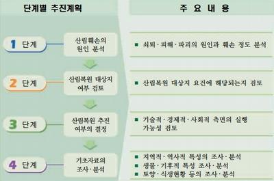 산림복원의 추진 단계 ⓒ 산림청