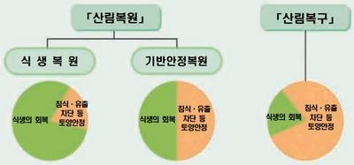 산림복원과 산림복구의 차이점 ⓒ 산림청