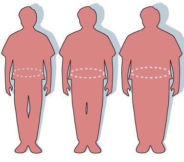 렙틴이 일정 수준을 유지하게 되면 대사 효율이 높아져 그림의 왼쪽처럼 체중이 줄어든다. 하지만 렙틴이 과도하게 분비되거나 부족해서 저항성이 생기면 식욕 상승으로 인해 그림의 오른쪽처럼 살이 찌게 된다. ⓒ FDA/Renée Gordon (Wikipedia)