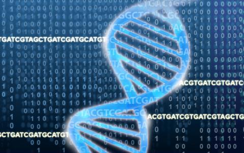 유전자분석 시장이 팽창하고 있는 가운데 일반 대중에게는 값싸게 DNA 분석을 할 수 있는 시대가 더 빨리 도래하고 있다. 사진은 차세대 염기서열분석장비(NGS) 회사인 '일루미나' 웹 사이트.