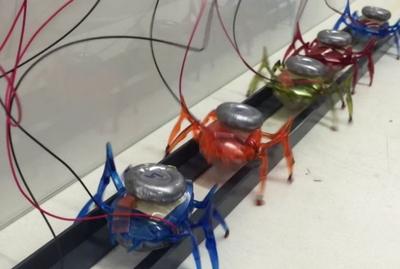 개미의 구조와 협업 능력을 모방한 견인용 로봇 ⓒ Stanford.edu