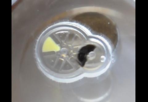 제네바 드라이브 장치의 자기 발진 모습. 자석은 기기와 접촉하지 않고 약 1cm 아래에 놓는다. 회전하는 자석이 더 작은 구동 기어의 회전 운동을 일으킨다. 이 구동 기어가 1 회전 할 때마다 더 큰 피구동 기어가 맞물려 60º 회전하고 다음 번 저장소가 장치 상단의 구멍에 노출된다. https://www.youtube.com/watch?v=MK4dLgmFSMo Credit: SauYin Chin/Columbia Engineering