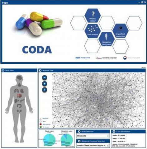 이도헌 한국과학기술원(KAIST) 교수팀이 가상인체 모델 CODA(Context-Oriented Directed Associations)를 개발했다. 사진은 가상인체 모델 CODA의 예다. ⓒ 과학기술정보통신부