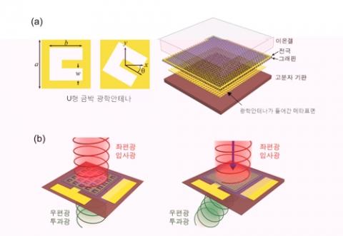 그림(a) 왼쪽은 U형 금박 광학안테나(a=76㎛, b=51㎛, w=19㎛)이고 오른쪽은 연구진이 개발한 그래핀 메타표면 구조도. 그림(b)는 서로 다른 기하학적 위상 차이 때문에 좌편광 입사광이 우편광 투과광으로 바뀌는 모습을 표현했다. 광학안테나 방향을 바꿔 선형 위상 차이를 갖는 메타표면을 설계하면 빛의 굴절 방향을 조절할 수 있다. ⓒ 기초과학연구원
