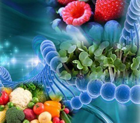 DNA 검사를 통해 영양및 비만 관리를 할 수 있다는 테스트 키트가 선풍적인 인기를 끌고 있는 가운데 영양유전체학에 대한 관심이 높아지고 있다. 사진은 영양유전체학을 전문적으로 다루고 있는 셀- 로직 사이트 ⓒ .cell-logic.com.au