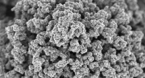 삼성전자가 개발한 배터리 소재인 그래핀 볼의 현미경 사진 ⓒ 삼성전자