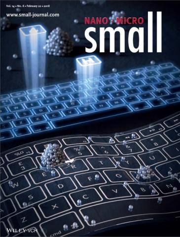 국제학술지 스몰(Small) 표지 논문으로 선정된 심우영 교수 연구팀 성과 ⓒ 한국연구재단