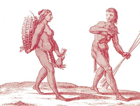 연구팀은 인간이 다른 유인원들처럼 나무에서 살다 개활지로 내려와 수렵 채집생활을 하게 된 것은 한 유전자 변이에 따른 골격근의 강화와 관련이 깊다고 말한다. Credit : Wikimedia Commons / Pierre Barrère