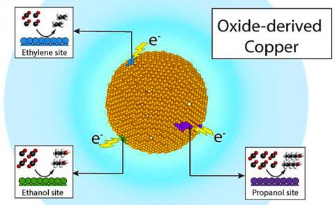 미국 버클리 랩과 합동 인공광합성센터 연구팀은 단일 구리 촉매의 제품 특이적 ‘활성화 지점’를 활용해 이산화탄소를 에탄올 같은 연료나 에틸렌 및 프로판올 같은 유용한 화학제품으로 변환할 수 있음을 입증했다. CREDIT : Joel Ager and Yanwei Lum/Berkeley Lab