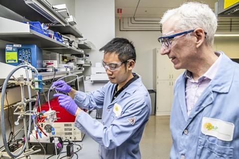 버클리 랩과 합동 인공광합성센터 연구원인 얀웨이 룸(왼쪽)과 조엘 에이저 박사(오른쪽)는 구리 촉매로 이산화탄소를 지속가능한 화학물질과 낭비 부산물이 없는 연료로 변환시킴으로써 오늘날의 화학 제조법에 대한 환경친화적 대안을 제시했다. CREDIT: Marilyn Chung/Berkeley Lab