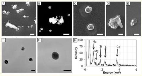 초음파 가습기를 통해 배출된 입자 이미지 ⓒ 보고서 'Effect of aerosol particles generated by ultrasonic humidifiers on the lung in mouse' 중